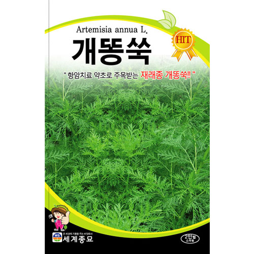 artemisia annua seed (20000 seeds)