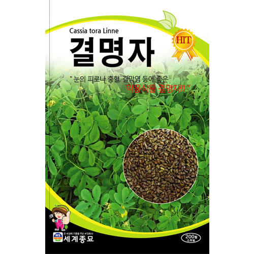 cassia tora linne seed (200 seeds)