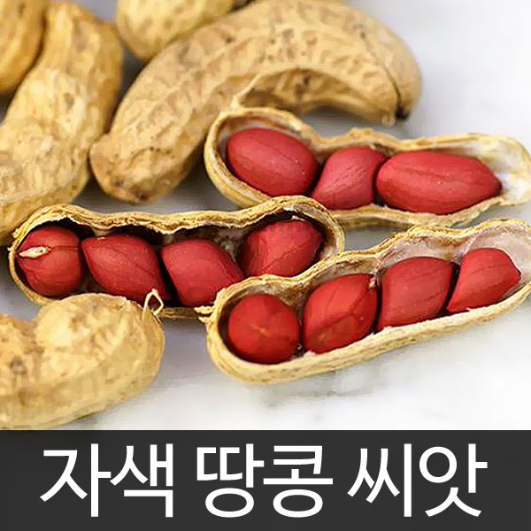 red peanut seed (20g)