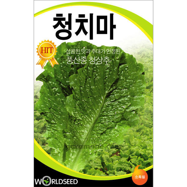 green lettuce seed  ( 3000 seeds )