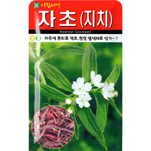 redroot gromwell / lithospermum erythrorhizon seed ( 500 seeds)