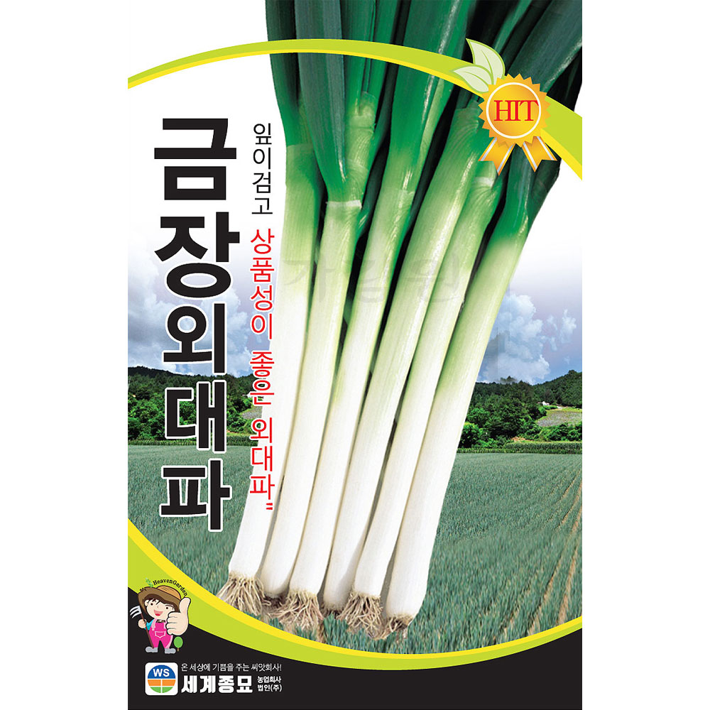onion seed  ( 2000 seeds  )