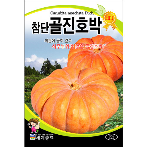 pumpkin seed (30 seeds)