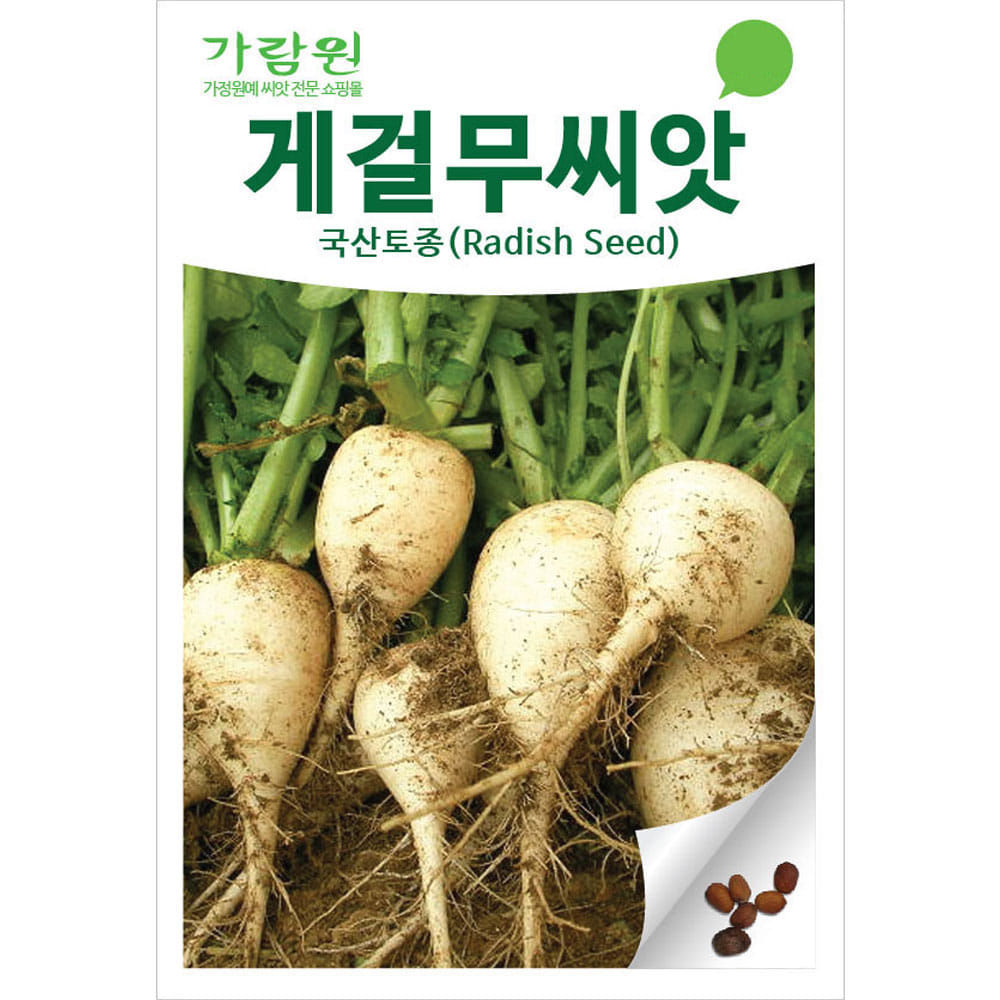 korean radish seed  ( 300 seeds )