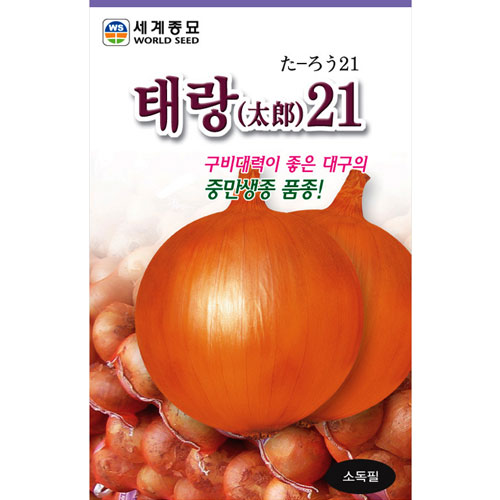 onion seed  ( 4g )