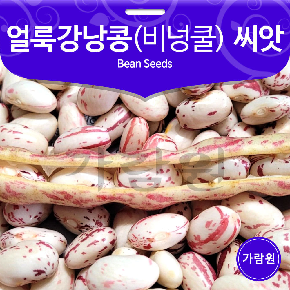 red kidney bean seed (30g)