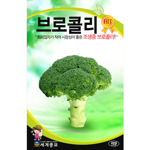 broccoli seed  ( 100 seeds )