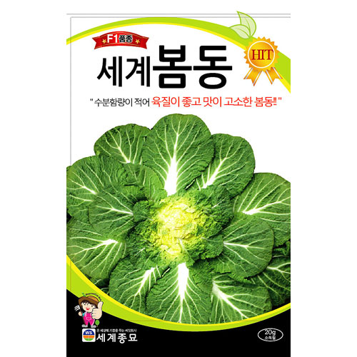 korean cabbage seed  ( 20g / 6000 seeds )