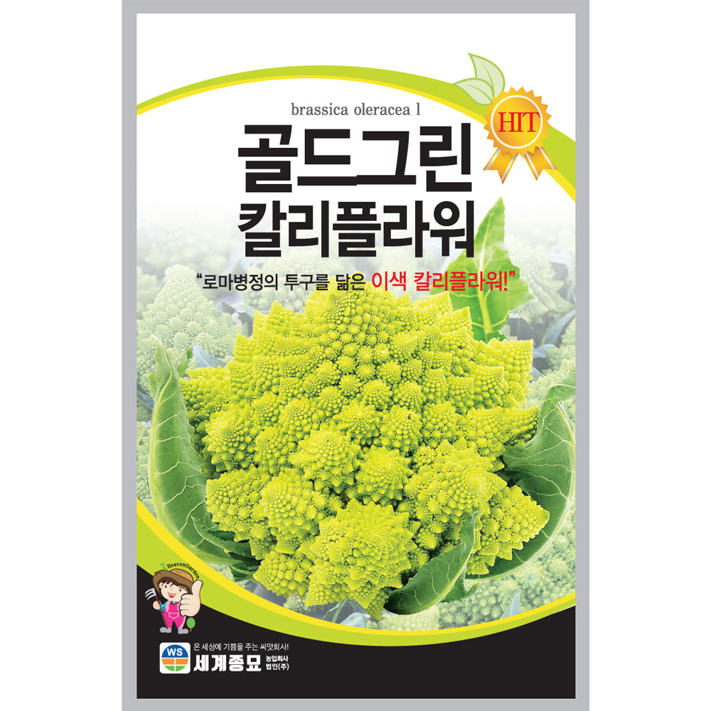 green cauliflower seed ( 50  seeds )