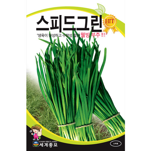 chives seed  ( 2000 seeds )