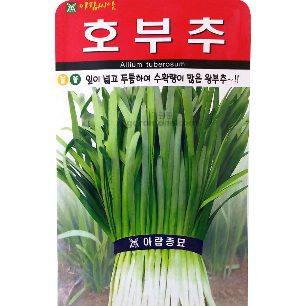 king chives seed ( 2000 seeds )