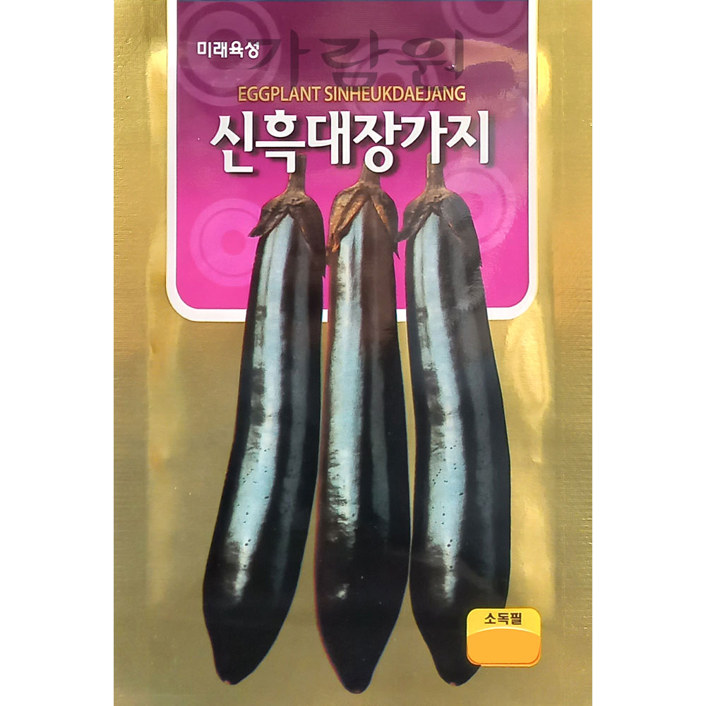 eggplant seed (100 seeds)