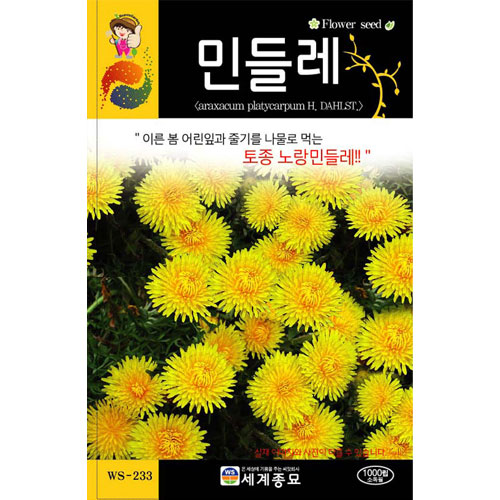 yellow dandelion seed (1000 seeds)