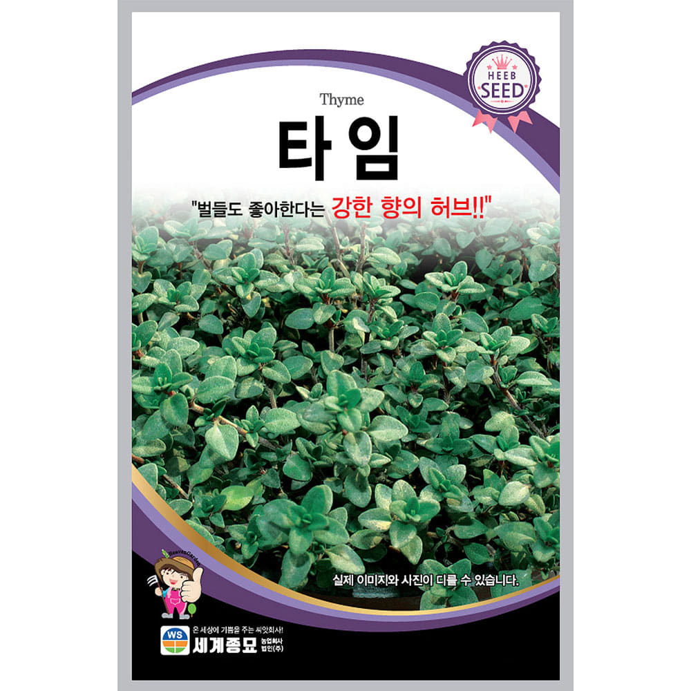 thyme seed / herb seed (150 seeds)