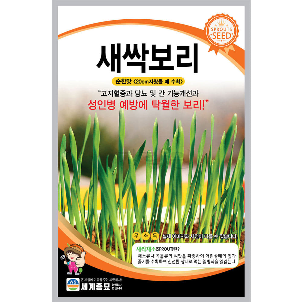 새싹 sprout barley seed (500 seeds)