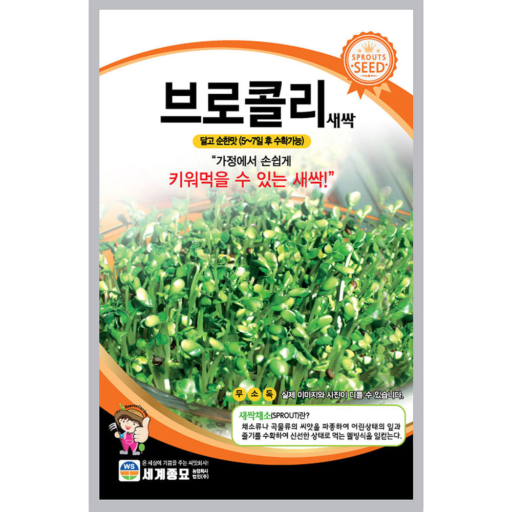새싹 sprout broccoli seed (6500 seeds)