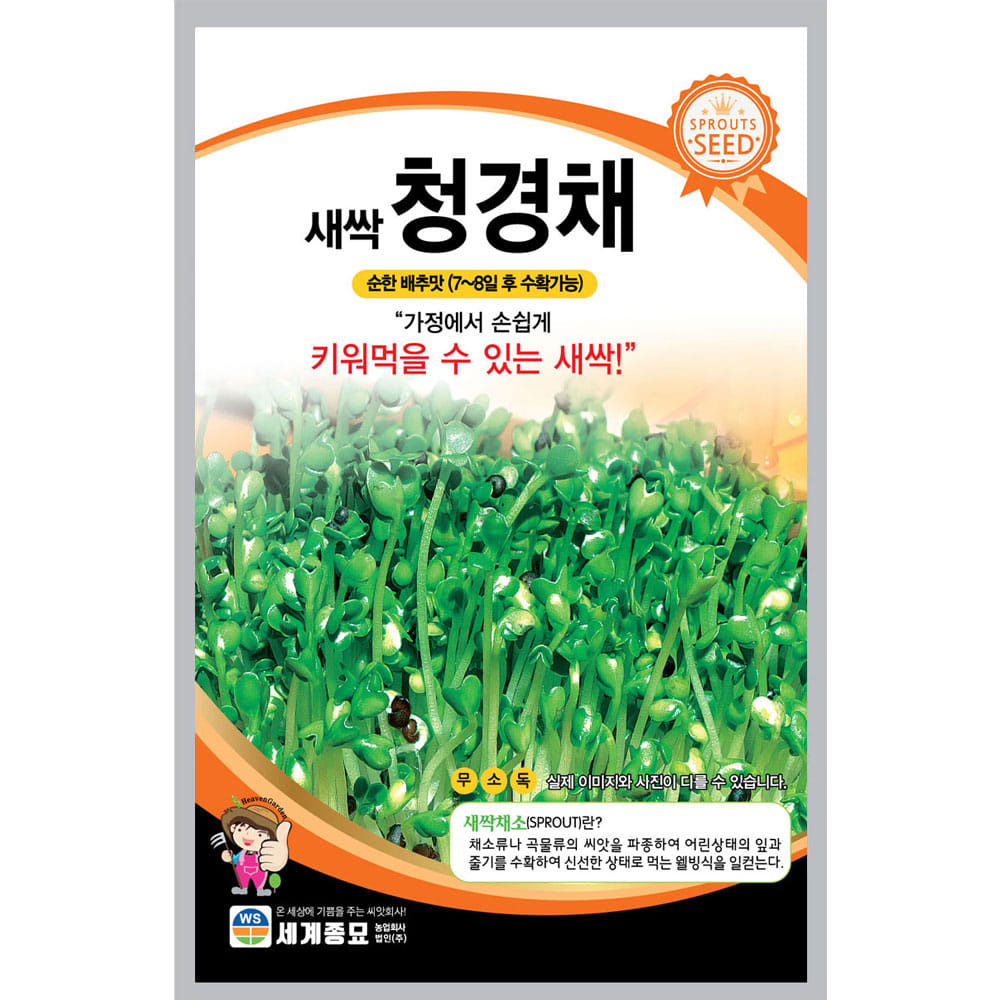 새싹 sprout bok choy seed (6000 seeds)