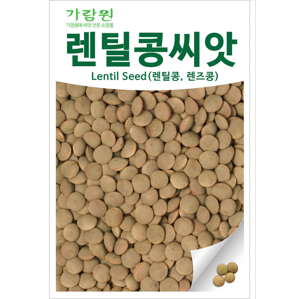 lentil bean seed / lens bean seed (100 seeds)