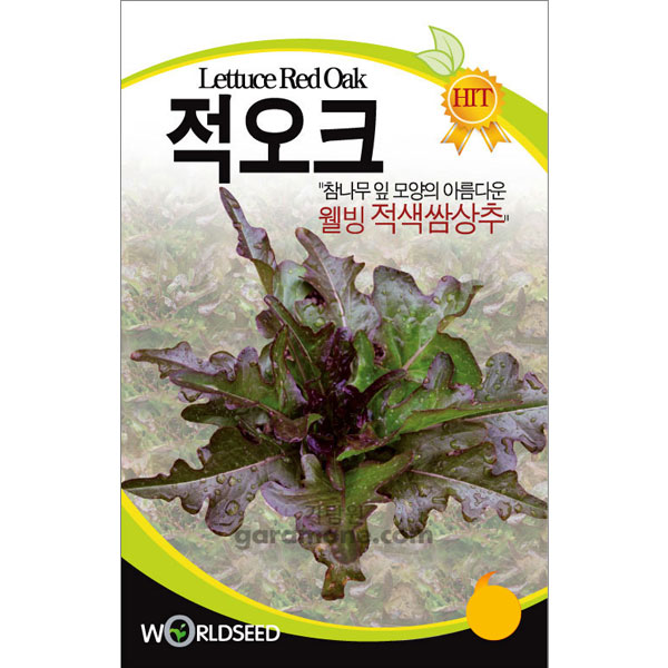 lettuce red oak seed  ( 2000 seeds )