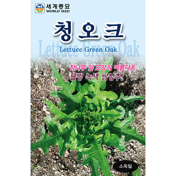 lettuce green oak seed  ( 2000 seeds )