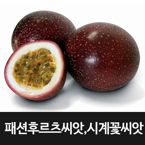 passion fruit seed passion flower seed (10 seeds)