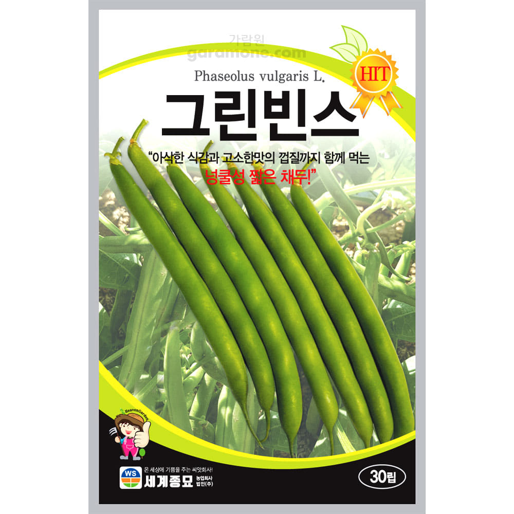 green beans pea seed ( 10g )