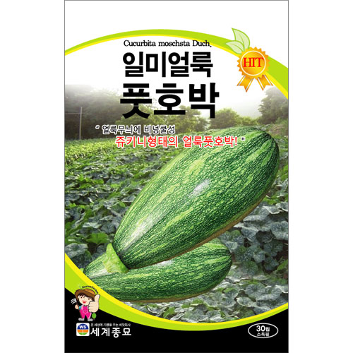 squash seed (30 seeds)