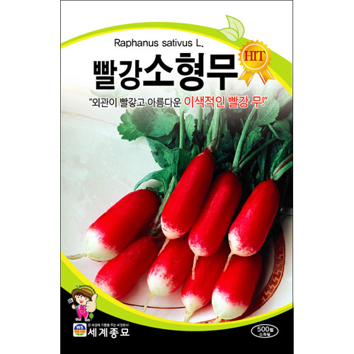 red radish seed  ( 500 seeds )