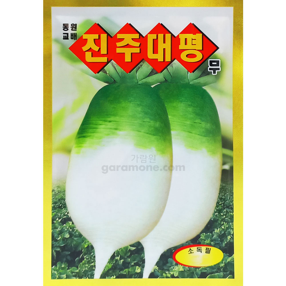 jinju daepyung radish seeds ( 10g )