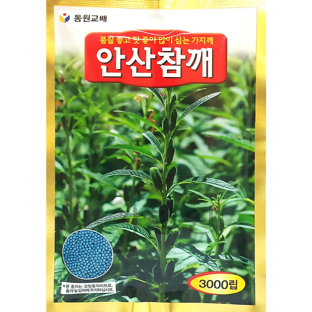 ansan sesame seed ( 3000 seeds )