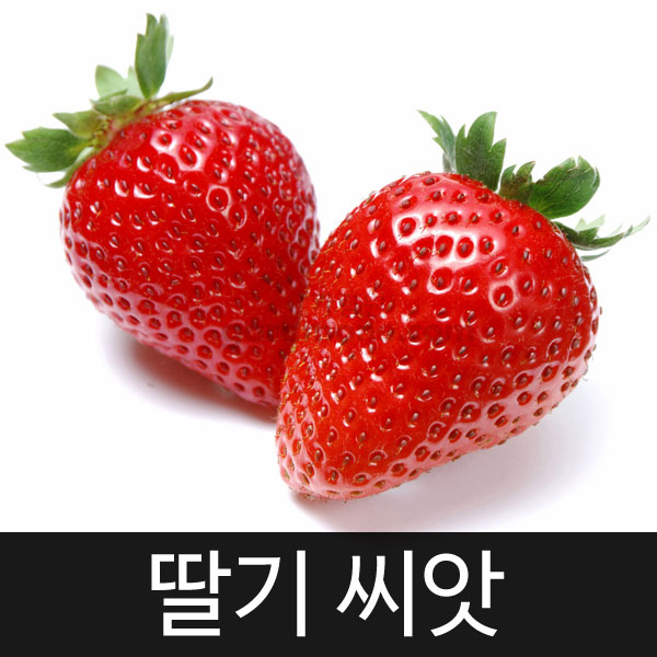 strawberry seed (100 seeds)