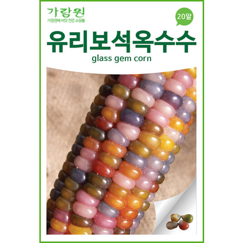 glass gem corn seed (20 seeds)