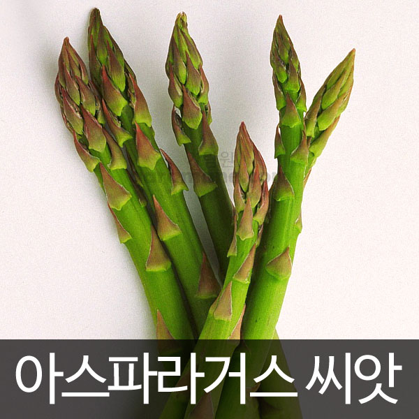 asparagus seed (50 seeds)