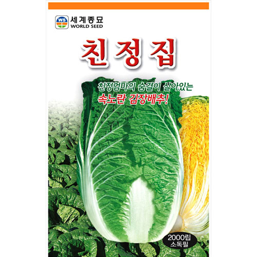 korean cabbage seed  ( 1000 seeds )