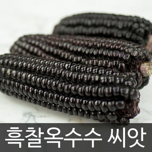 black corn seed (30g)