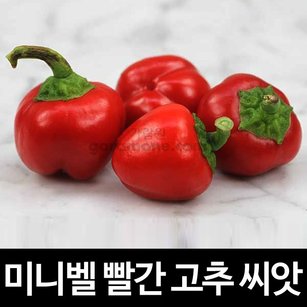 mini bell red pepper seed (20 seeds)