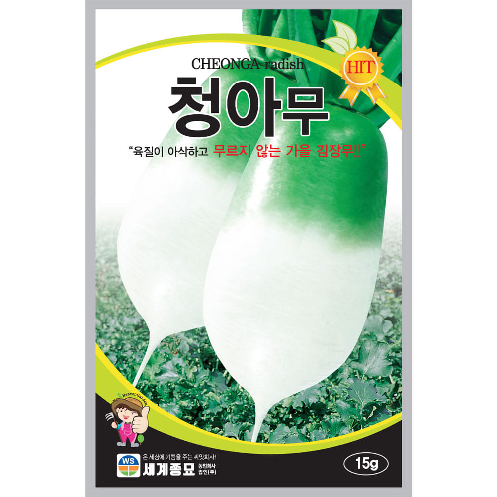 korean radish seeds  ( 15g )
