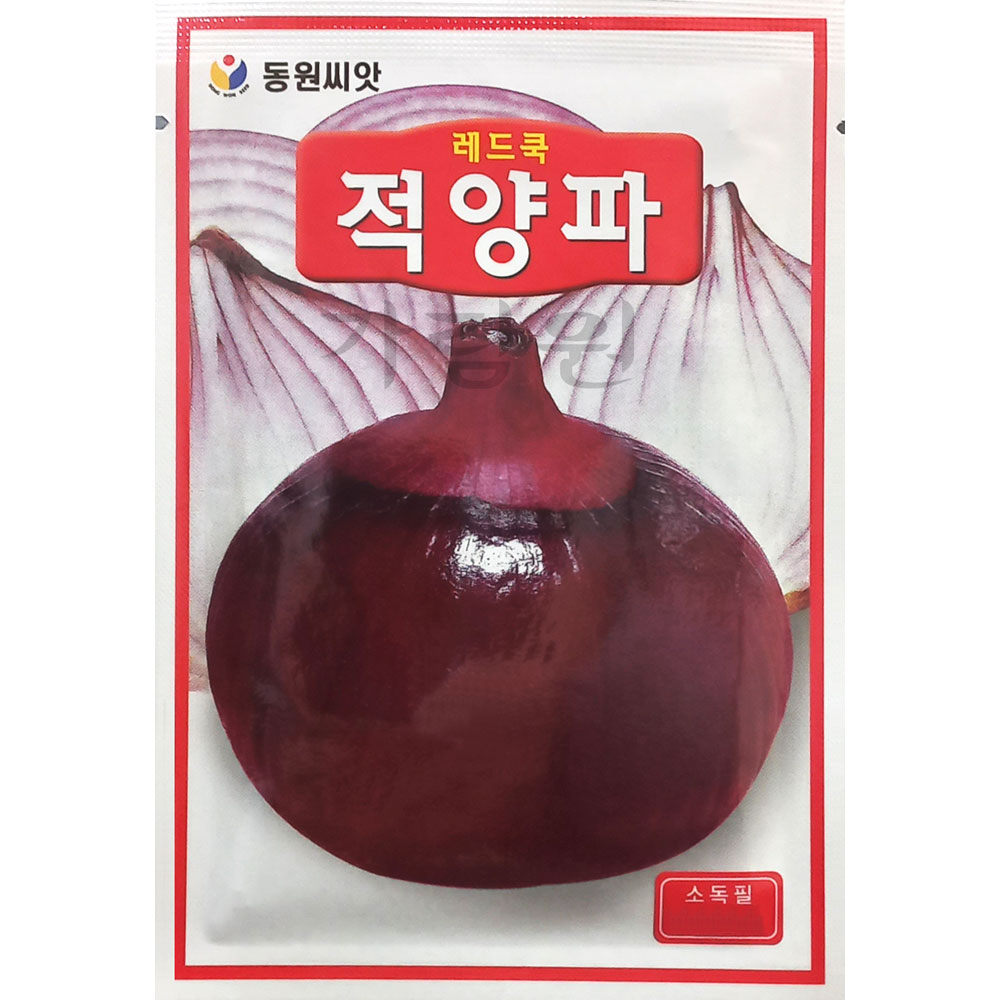 red asiaonion  seed ( 1100 seeds )
