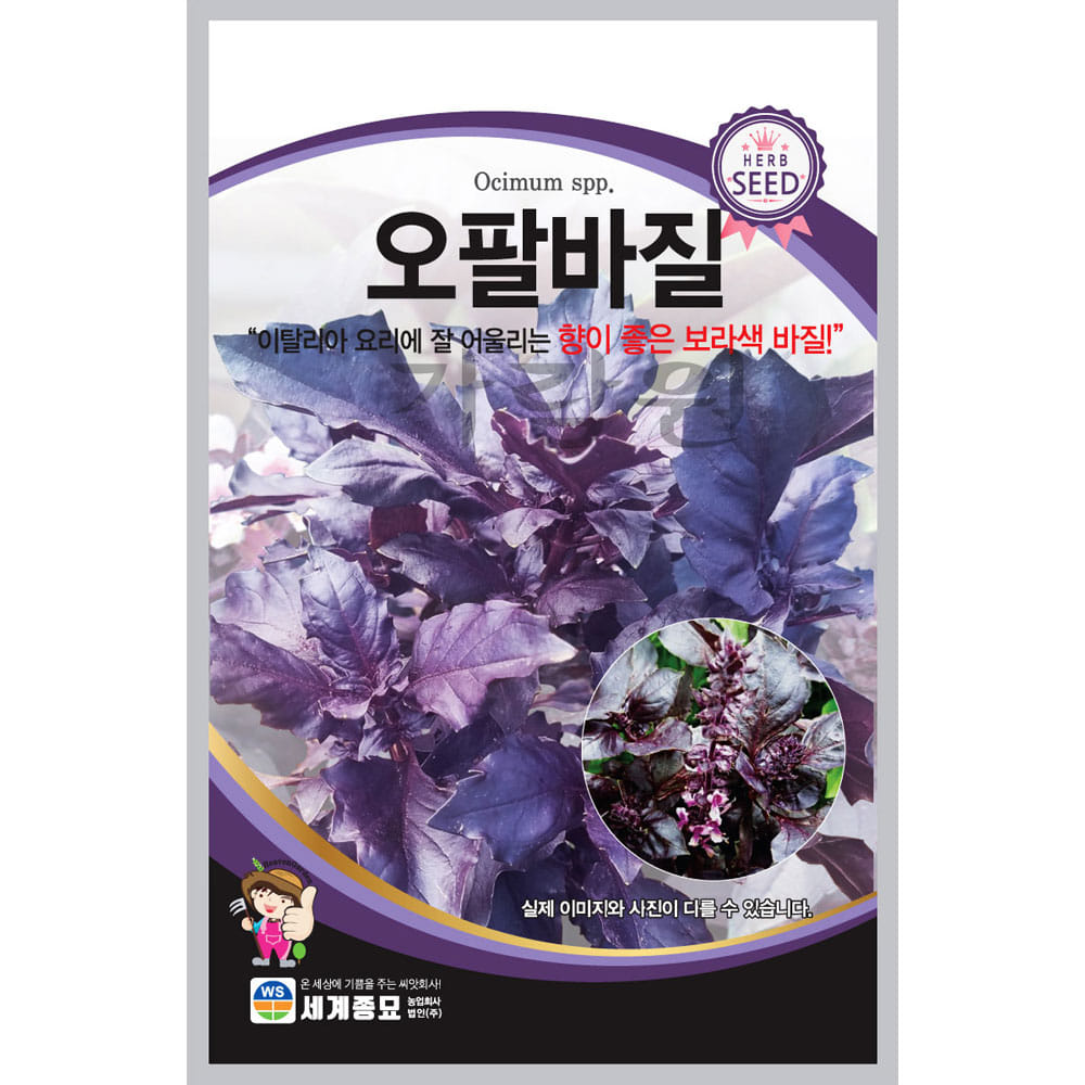 purple basil seed ( 500 seeds )