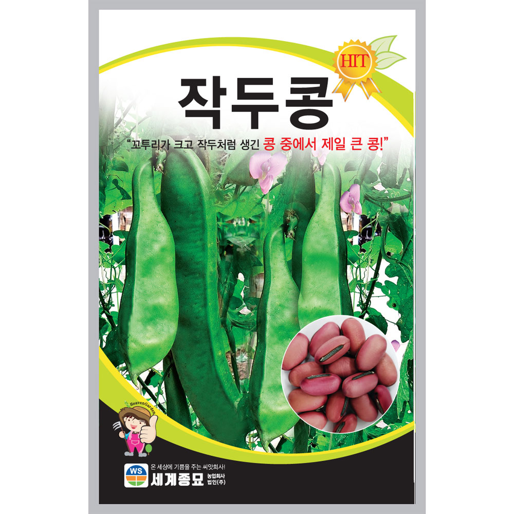 sword bean seed (10 seeds)