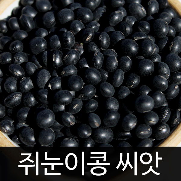 small black bean seed (30g)