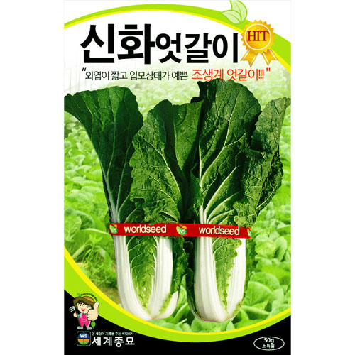 korean cabbage seed  ( 25g )