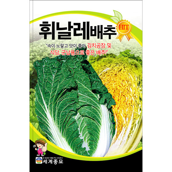 korean asia cabbage seed ( 1000 seeds )