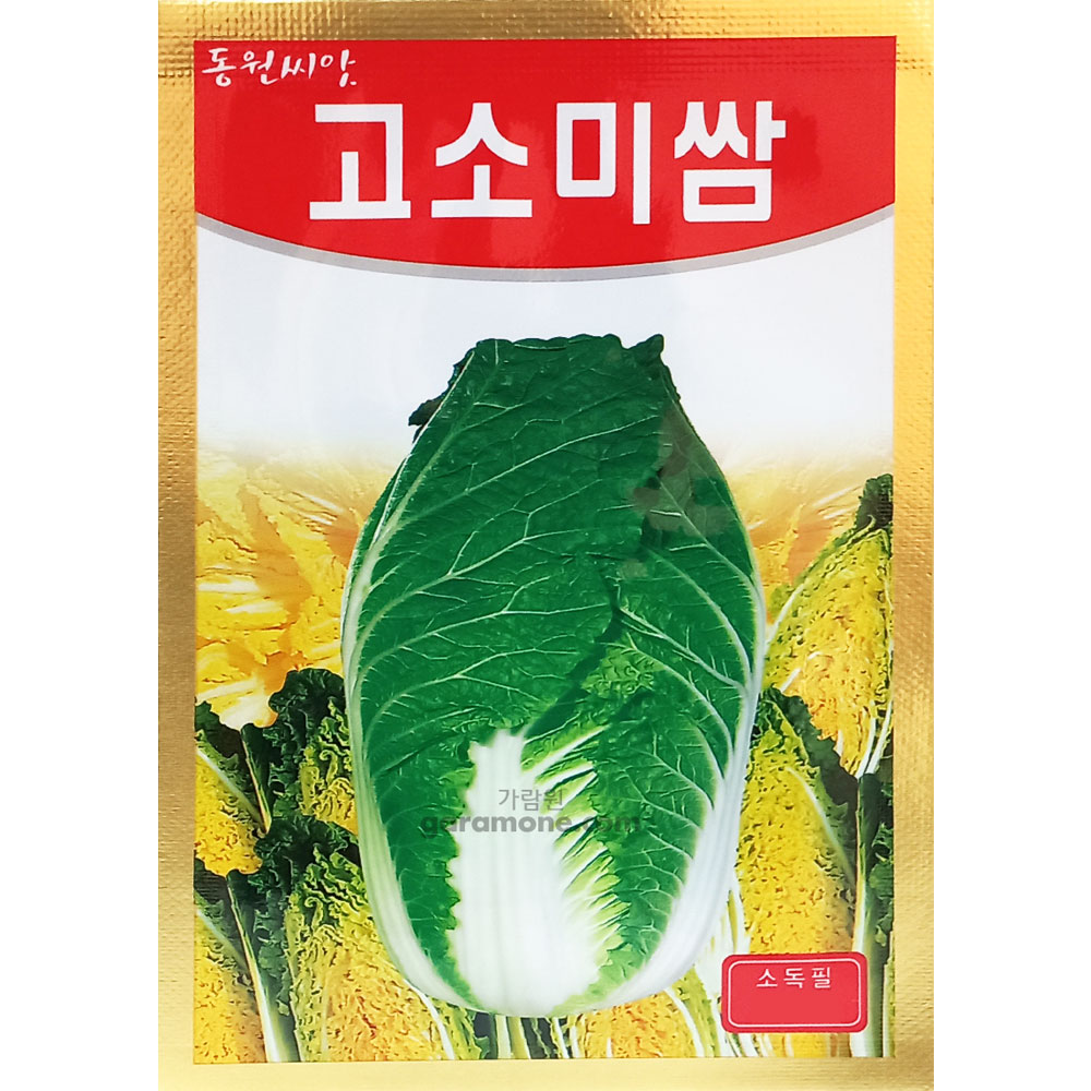 gosomi cabbage seed ( 500 seeds )