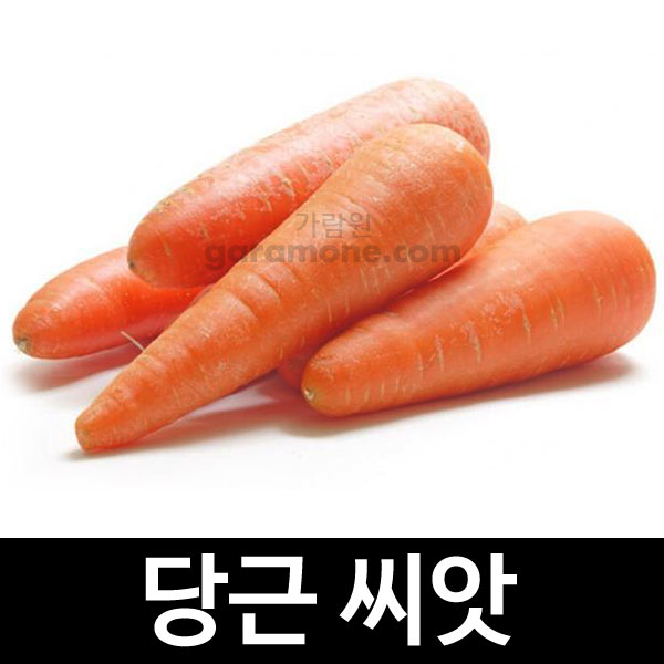 carrot seed ( 4g )