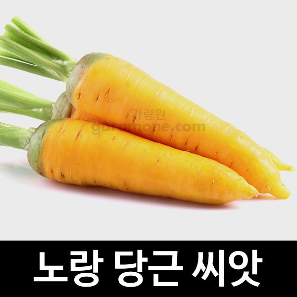 yellow carrot seed  ( 500 seeds )