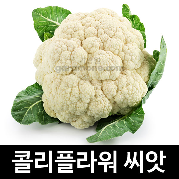 white cauliflower seed ( 100 seeds )