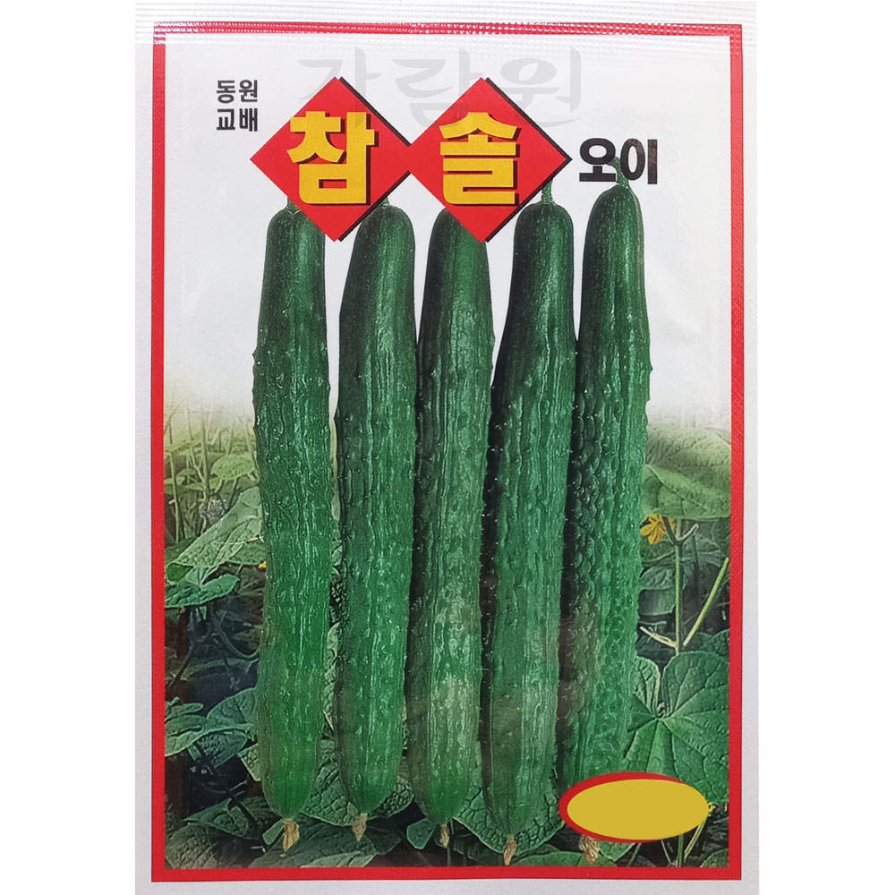 cucumber seed (50 seeds)