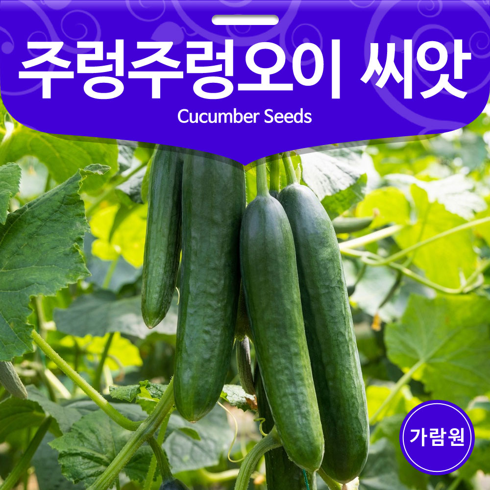 cucumber seed ( 10 seeds )