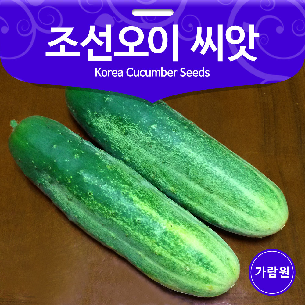 korea cucuber seed ( 50 seeds )